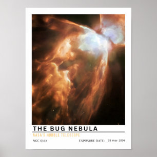 The Bug Nebula Space Education Poster