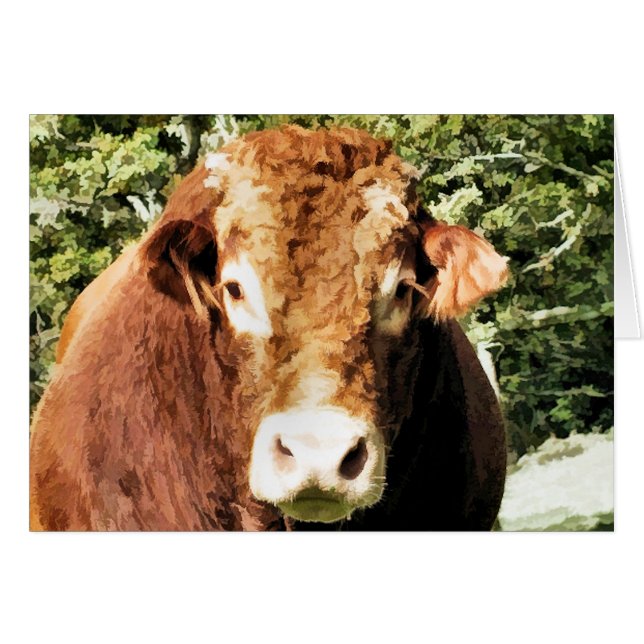 THE BULL CARD (Front Horizontal)