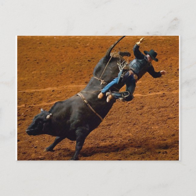 The Bull Rider Postcard (Front)