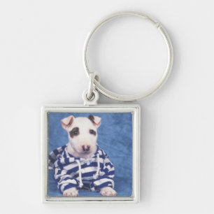 The Bull Terrier is a breed of dog in the Keychain