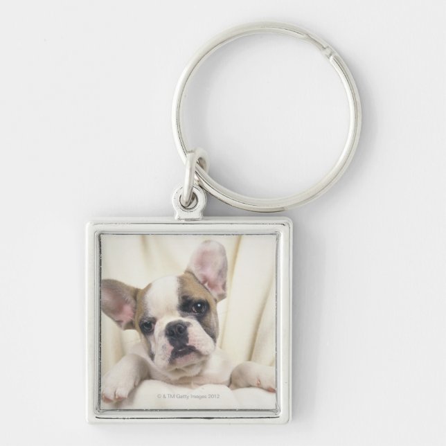 The Bulldog, often called the English Bulldog, 2 Keychain (Front)