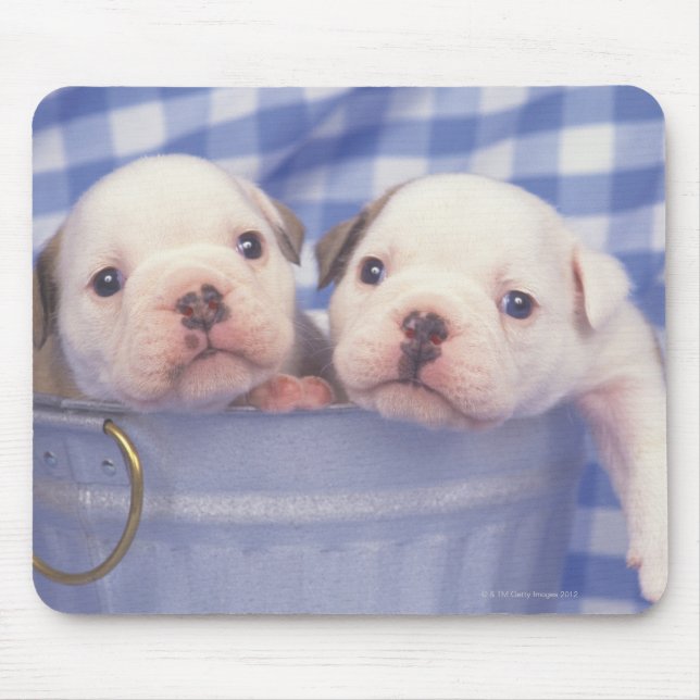 The Bulldog, often called the English Bulldog, Mouse Pad (Front)