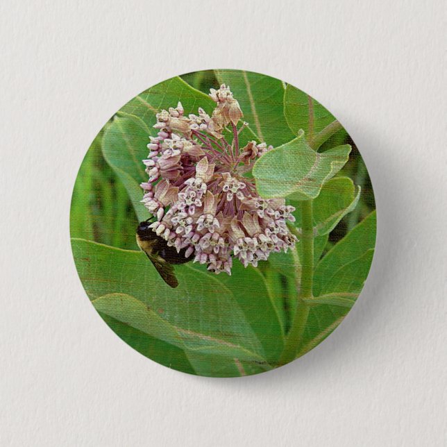The Bumble Bee on The Milkweed 2 Inch Round Button (Front)