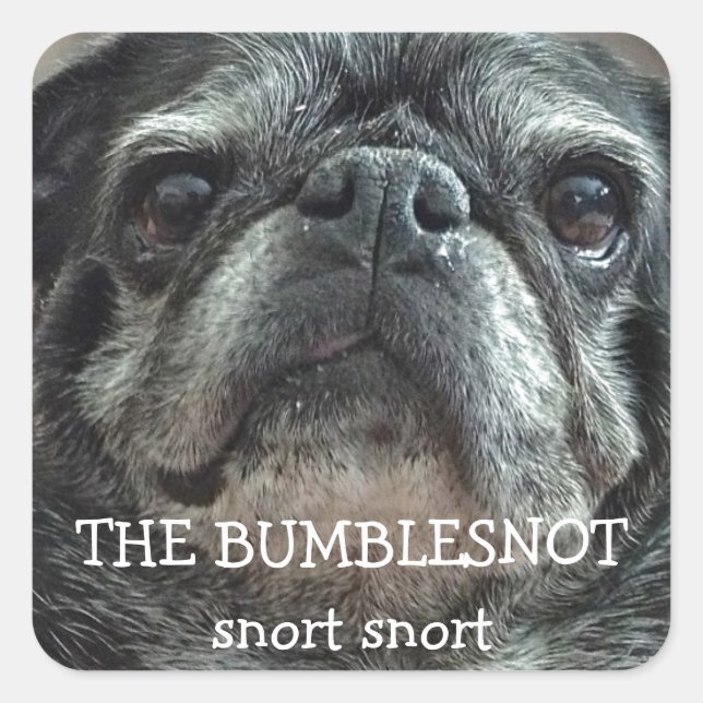 The Bumblesnot "snort snort" stickers (Front)