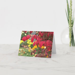 The Burning Bush Card