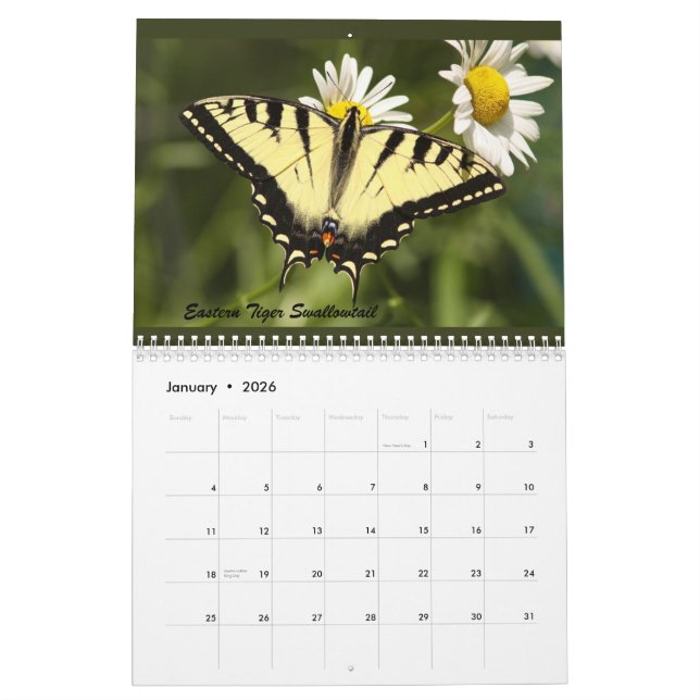 The Butterflies of the Catskills Calendar (Jan 2026)