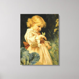 The Butterfly Canvas Print