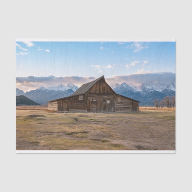 The Cabin is Tipping Its Hat Tissue Paper (Front)