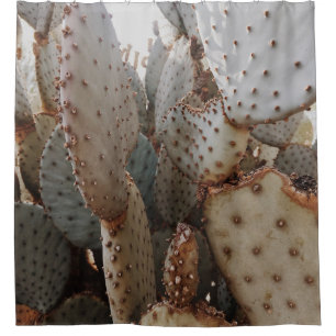 THE CACTUS CLOSE-UP VIEW