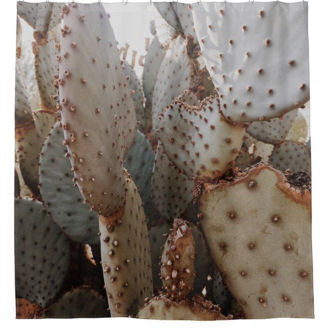 THE CACTUS CLOSE-UP VIEW (Front)