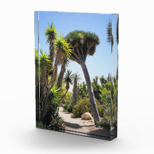 The Cactus Garden Balboa Park Photo Block