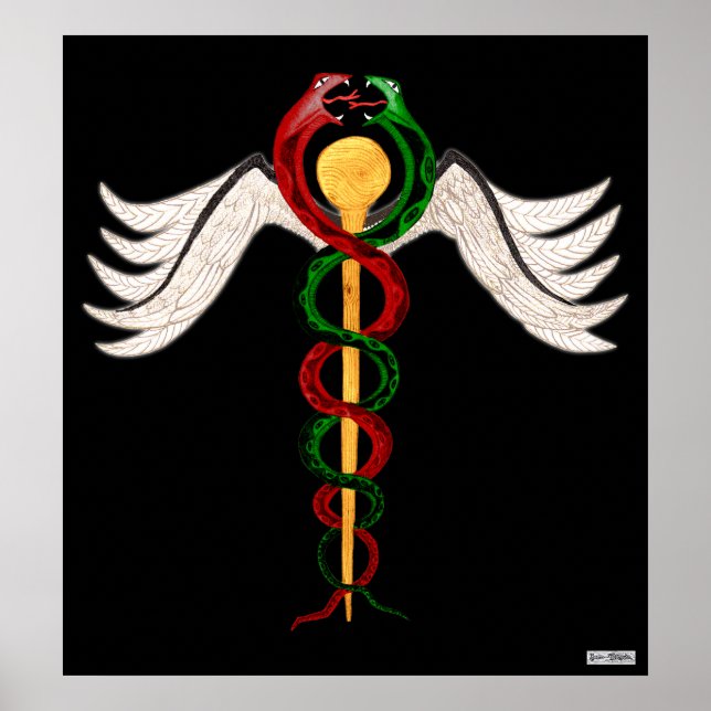 The Caduceus Poster (Front)