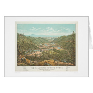 The California Powder Works (1306)