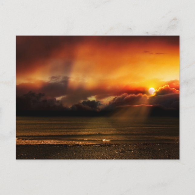 The Calming - Postcard (Front)