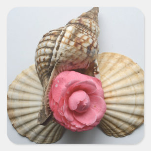 The Camellia And The Shells Square Sticker