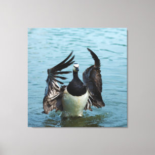 The Canada Goose Branta Canadensis Canvas Print