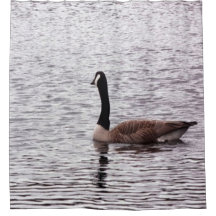 The Canada Goose on Lake Shower Curtain