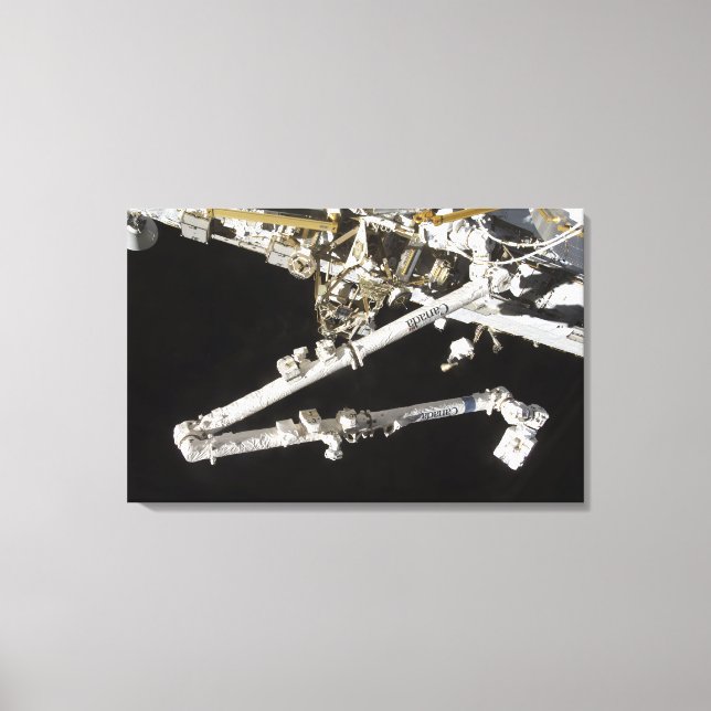 The Canadian-built space station Canvas Print (Front)