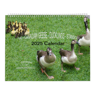 THE *CANADIAN GEESE* - *DUCKLINGS* STANDOFF 2025 CALENDAR