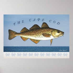 The Cape Cod Poster