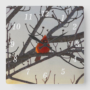 The Cardinal In The Morning Wall Clock