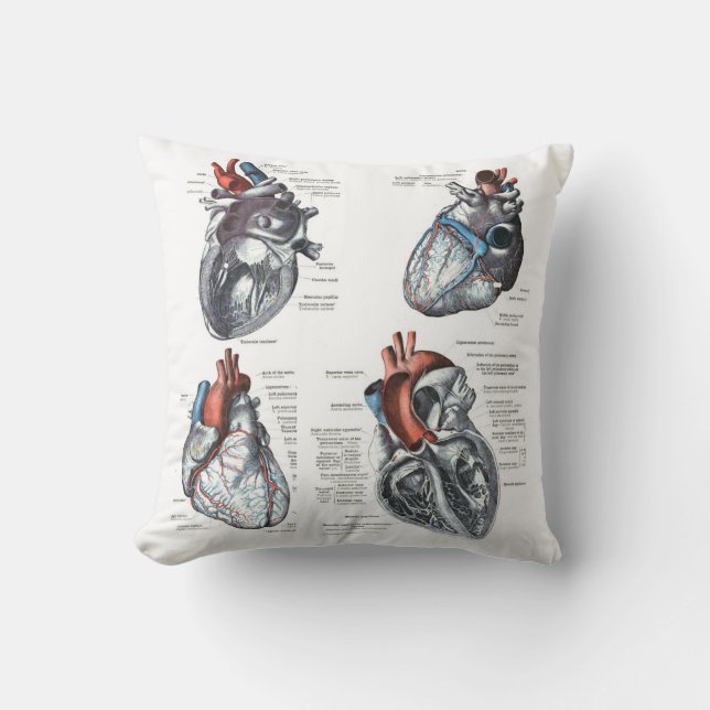 the Cardiologist's Pillow (Front)