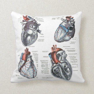the Cardiologist's Pillow