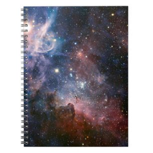 The Carina Nebula's hidden secrets Notebook