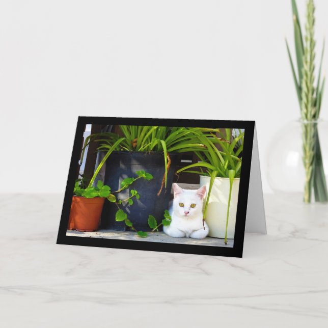 The Cat Amongst the Plants Card (Front)