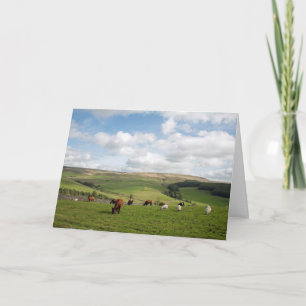 The Cat and Fiddle Inn Postcard
