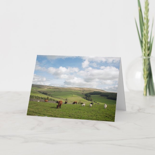 The Cat and Fiddle Inn Postcard (Front)