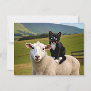 The Cat and the Sheep – Felini’s Country Ride Postcard