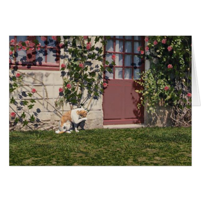The Cat At Rose Cottage (Front Horizontal)