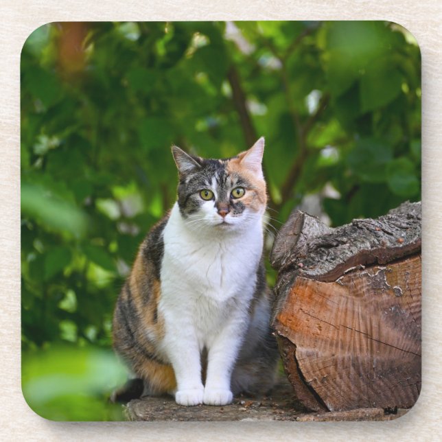 The Cat    Coaster (Front)