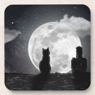 The cat dreams of the moon coaster
