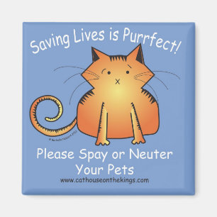 The Cat House on the Kings Spay and Neuter Magnet