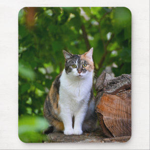 The Cat Mouse Pad