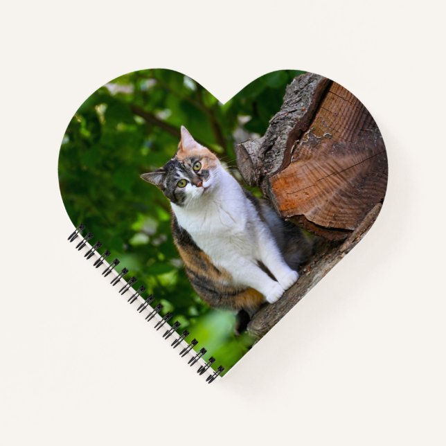 The Cat     Notebook (Front)