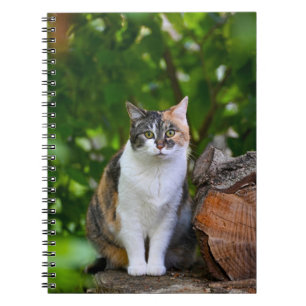 The Cat Notebook