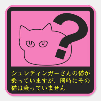 The Cat of Schredinger Pink Square Sticker