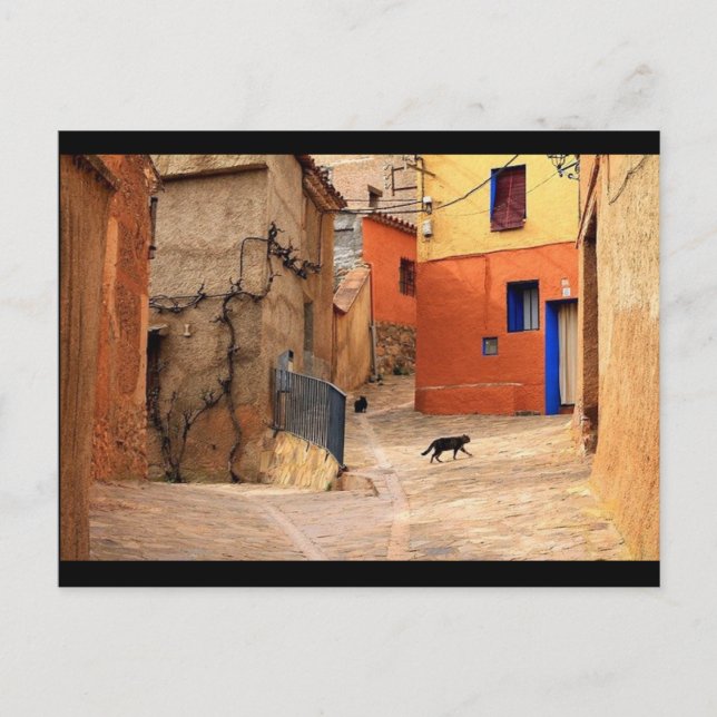The Cat on My Street, Art  Postcard (Front)