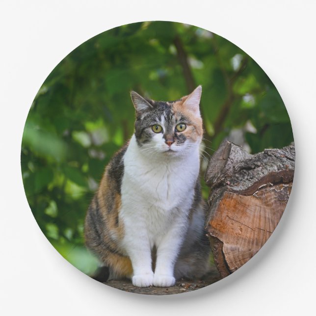 The Cat      Paper Plate (Front)