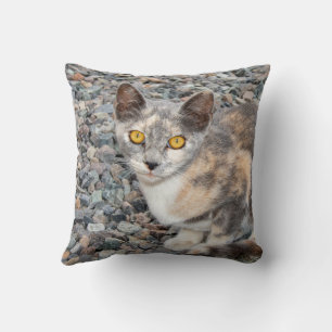 The Cat   Pillow Case