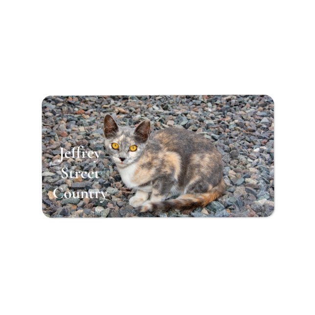 The Cat   Pillow Case Label (Front)