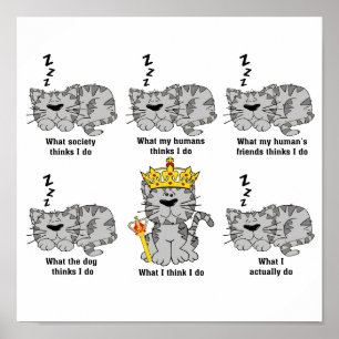 The Cat Poster