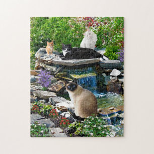 "The Cat Spa" Puzzle