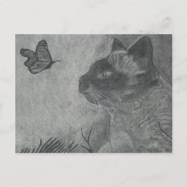 The Cat & The Butterfly Postcard (Front)