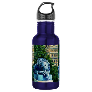 The Cat, Who ate the Canary, Washington DC 532 Ml Water Bottle
