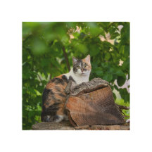 The Cat Wood Wall Art