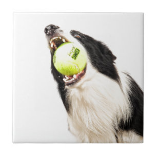 The Catch Tile